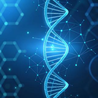 Comprendre comment l’ADN non codant de nos cellules influence le risque de maladie : un enjeu majeur pour la recherche en biologie que la nouvelle intelligence artificielle de Google pourrait contribuer à relever. © IQ-Photography, Adobe Stock