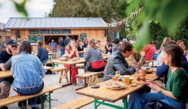 Bal de l’été, accrobranche au coucher du soleil, balade en famille… Quatre idées de sorties