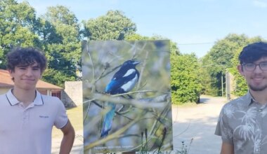Carquefou. La balade photo de la faune sauvage continue