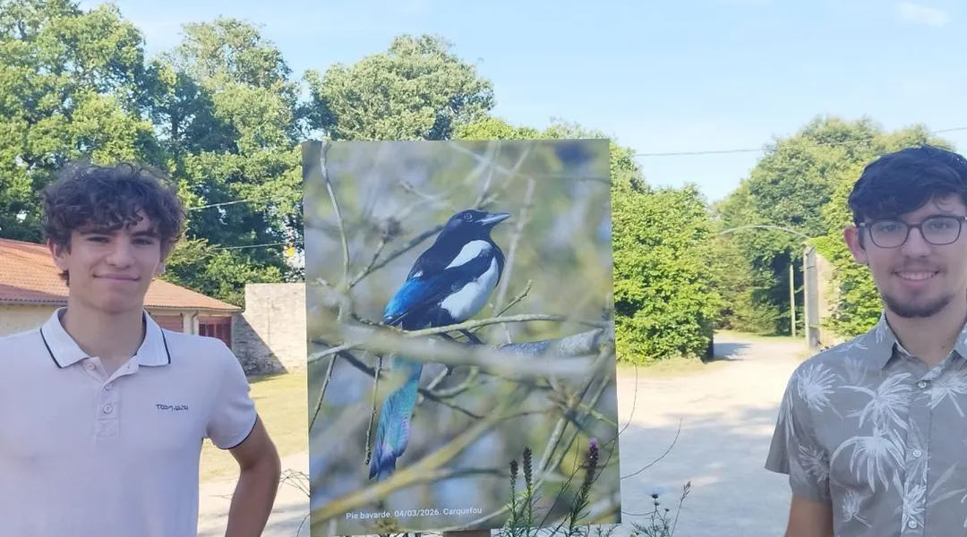 Carquefou. La balade photo de la faune sauvage continue