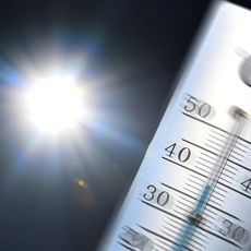 Un thermomètre indique des températures record avoisinant les 40 degrés Celsius.