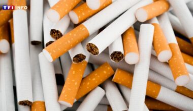 Un trafic "équivalent au volume de vente de 20 buralistes" : un réseau de cigarettes de contrefaçon démantelé à Lille