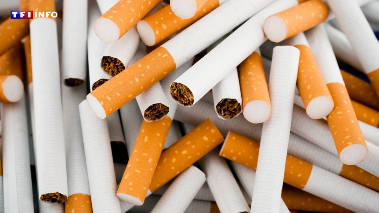 Un trafic "équivalent au volume de vente de 20 buralistes" : un réseau de cigarettes de contrefaçon démantelé à Lille