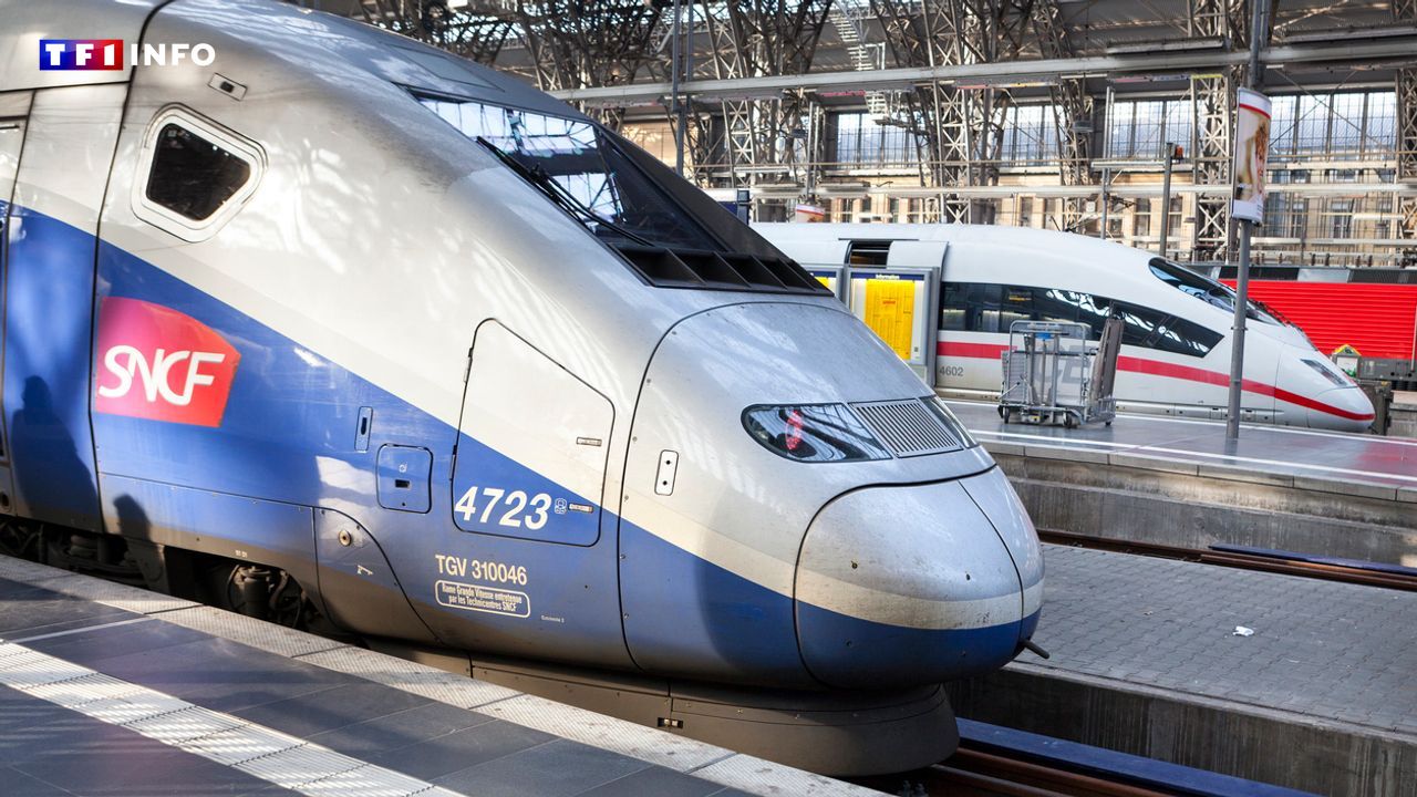 Après une panne électrique, les passagers d'un TGV Hendaye-Paris arrivent avec... 11h30 de retard