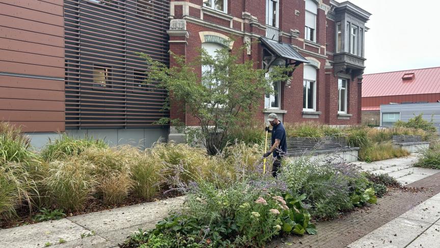 La ville de Hem engage une réflexion globale sur la place de la nature dans la commune.