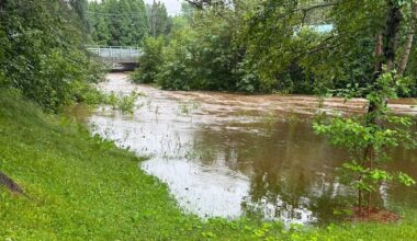 Des cours d’eau sous surveillance au Saguenay-Lac-Saint-Jean