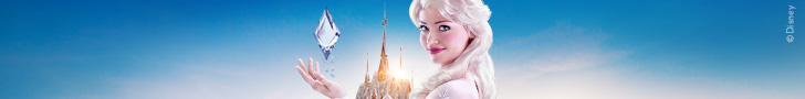 Billets Disneyland Paris