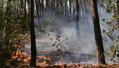 France battles wildfire 4 times the size of Paris as tinderbox heat threatens new surge