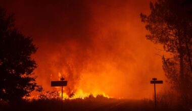 French wine industry could face struggle after fire damage ruins crops