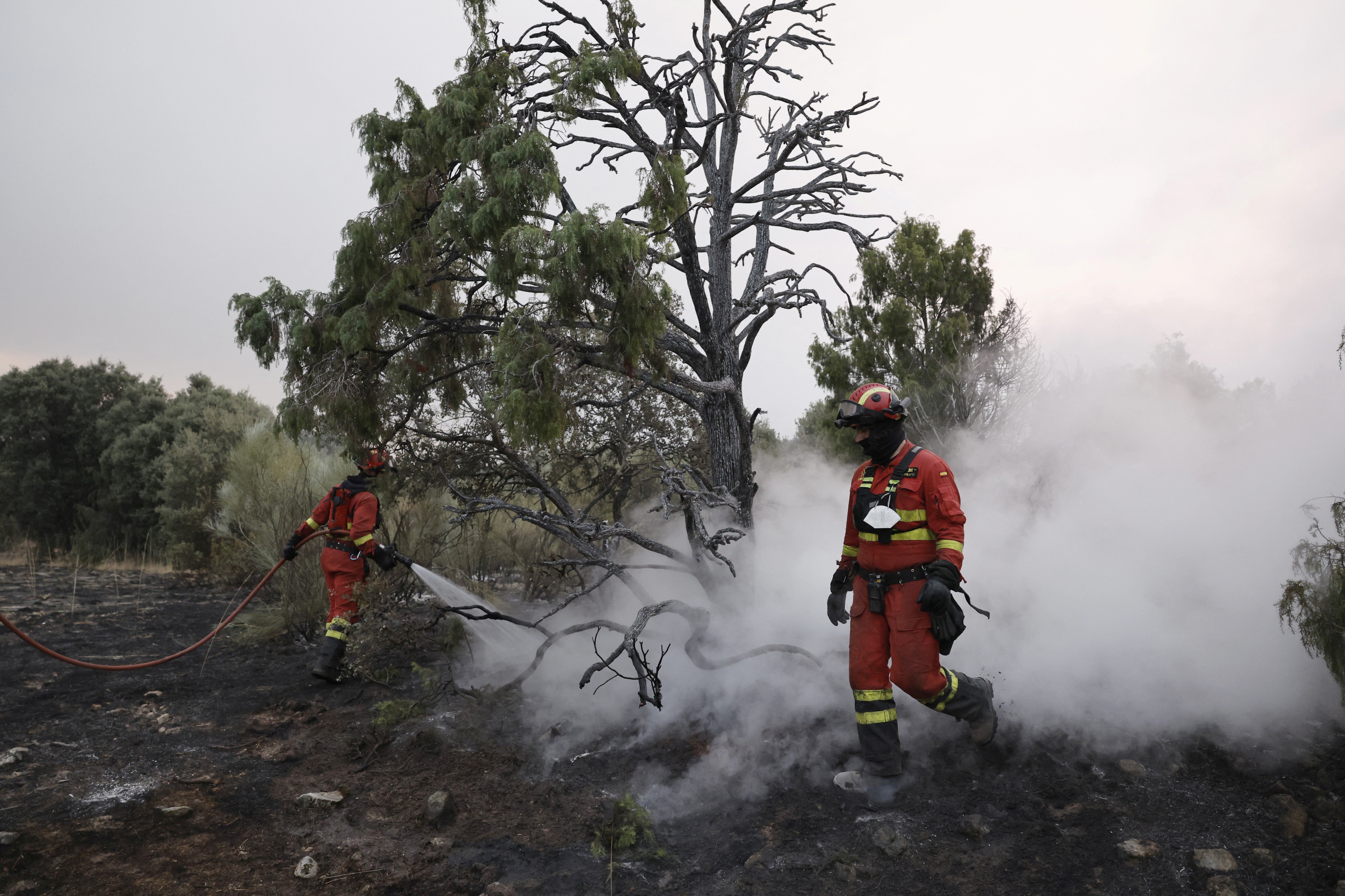 Firefighters battle a blaze near El Escorial, 60 km northwest of Madrid