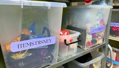 When guests leave items behind at Disneyland Paris and they are never claimed, the items are sorted and go to various organizations. These vary from providing items to those in need to raising money for philanthropic endeavors. The projects are:
