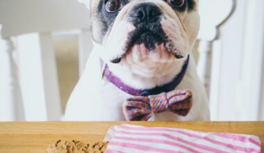 French Bulldog in Louis Vuitton Orders His Own Lunch—'I'll Have the Grilled Chicken'