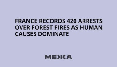 France Records 420 Arrests Over Forest Fires as Human Causes Dominate | Ukraine news