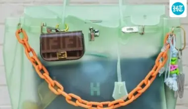 Meet the ‘Firkin’: Why social media is obsessed with this plastic Birkin dupe