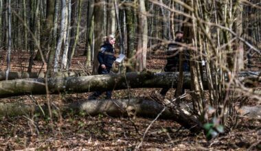 Mother and baby killed by toppled tree during Easter egg hunt in Germany