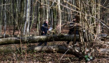 3 Killed as High Winds Topple a Tree on an Easter Egg Hunt in Germany