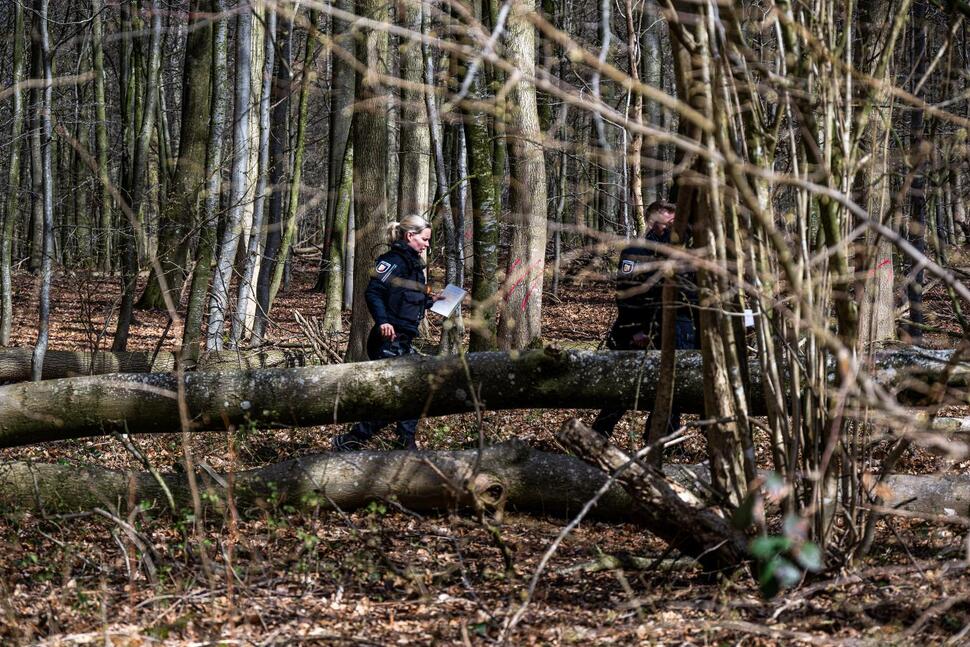 3 Killed as High Winds Topple a Tree on an Easter Egg Hunt in Germany
