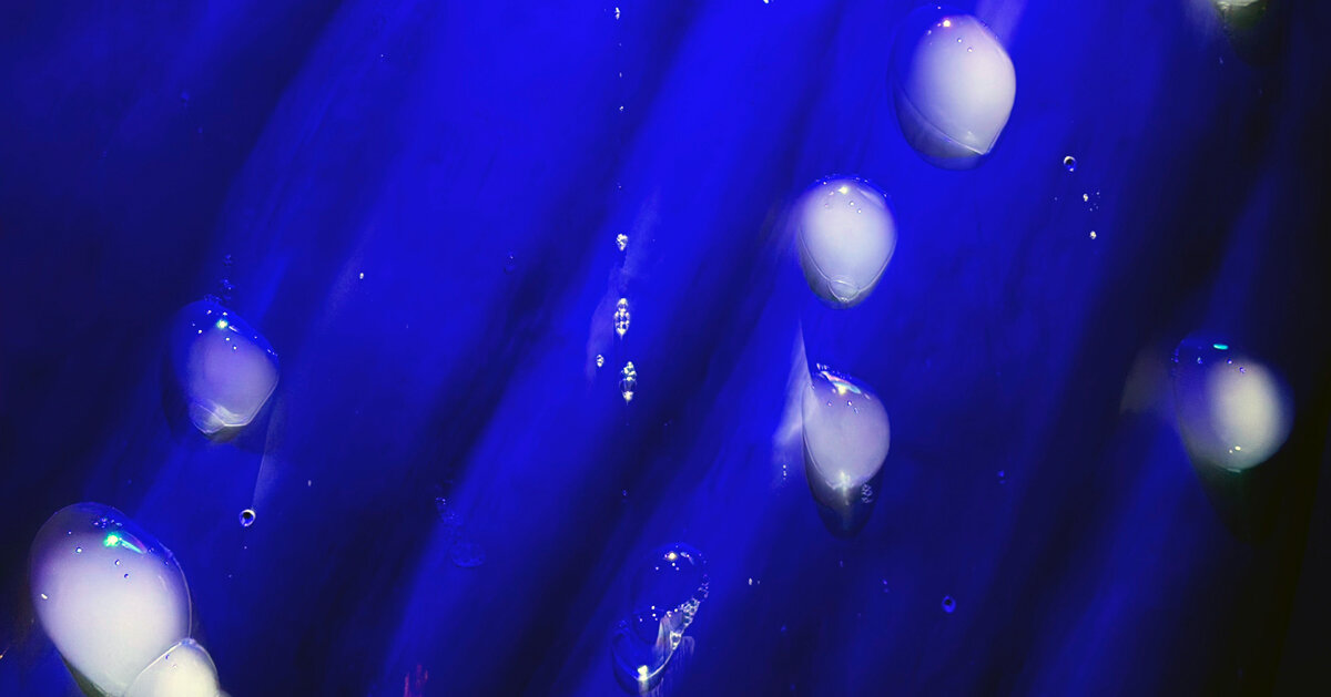 mist-filled bubbles grow out of A.A.murakami's SYMBIOSIS installation for BMW at art basel