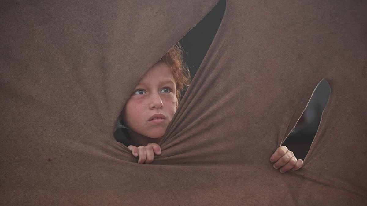 A UN report details the ‘overwhelming’ scale of children killed in Gaza. It raises grave legal questions – Shannon Bosch