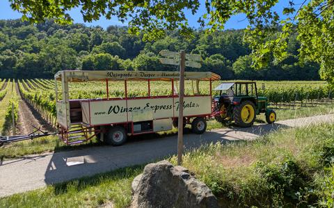 Covered-wagon vineyard tour offers unique way to wander German Wine Road