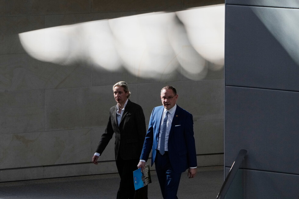 Germany's far-right AfD is buoyant as it eyes a slice of power