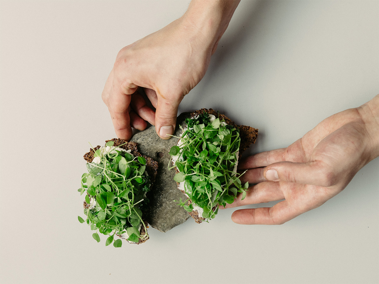 Berlin’s restaurants are relishing in ingredients from the city’s allotments