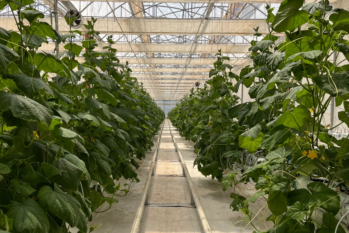 Bayer expands research in Italy