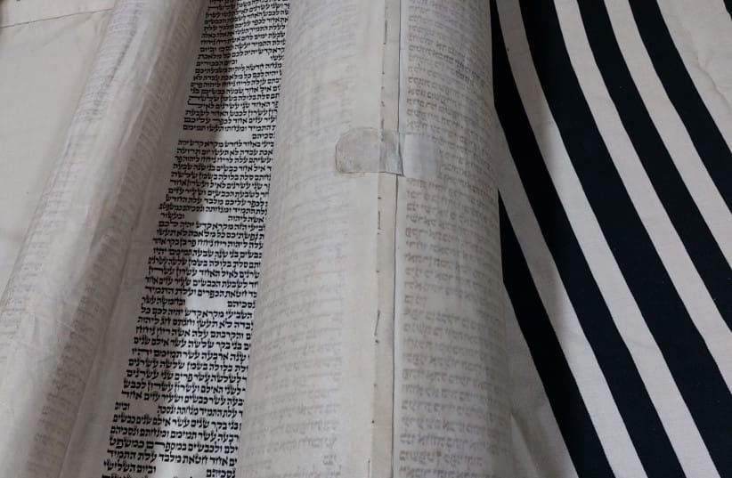 Torah Scroll in 2023, as it was seen for the very first time by the family in Shaare Hatikvah.