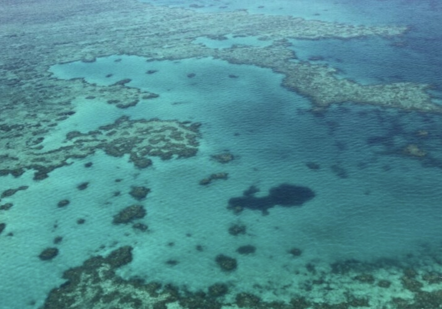 El Niño: Munich Re Predicts a Surge in Weather and Climate Disasters