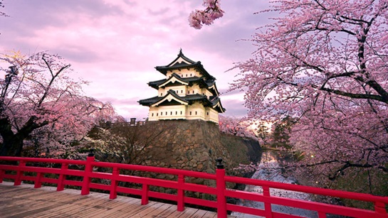 Japan: Munich Re Specialty launches parametric earthquake insurance for corporate clients