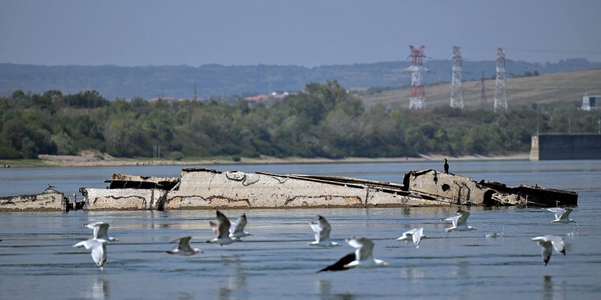 Danube River's shrinking water levels expose dozens of World War II ships