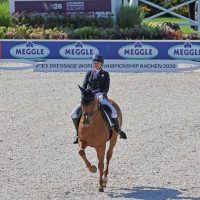 Germany Wins Dressage World Championships Gold, Britain Silver, Denmark Bronze; 3 Combinations Above 80%