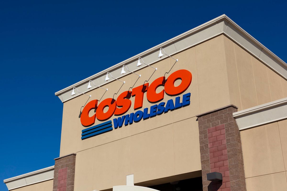 Discover Adidas Sneakers at Costco: Perfect for Comfortable Dog Walks