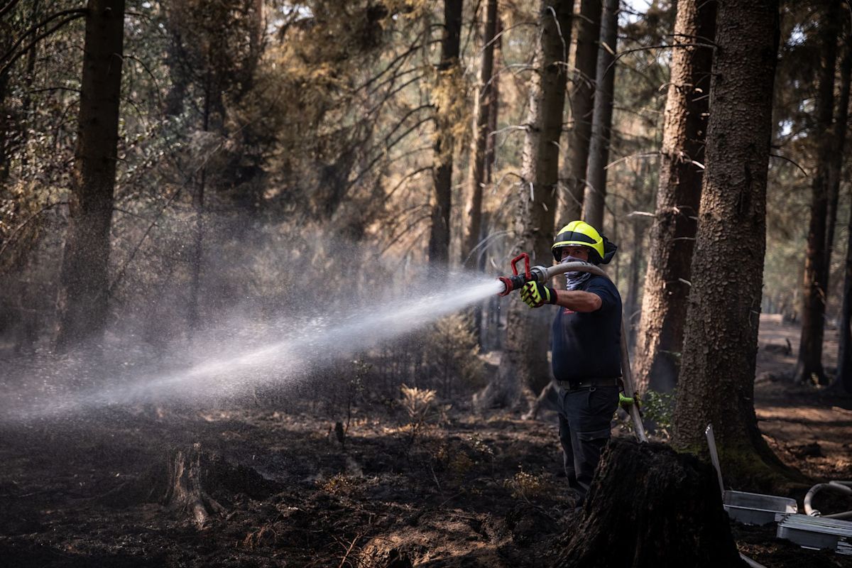 Western German state brings record wildfire under control