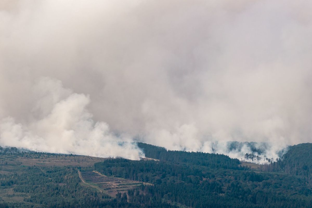 German authorities order partial evacuation of border town due to fire