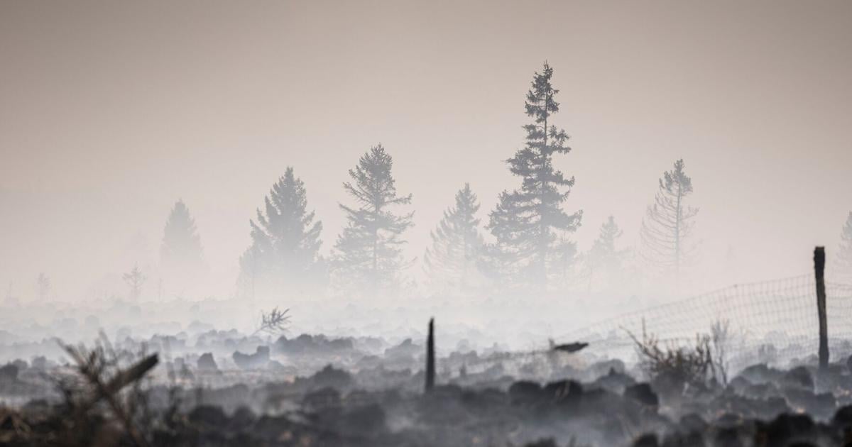 Belgian wildfire approaches Germany as Greece probes deadly blaze | Region