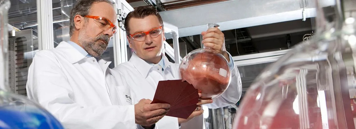 Is BASF (XTRA:BAS) Undervalued After FDA Approval Of Its Tinosorb S UV Filter?