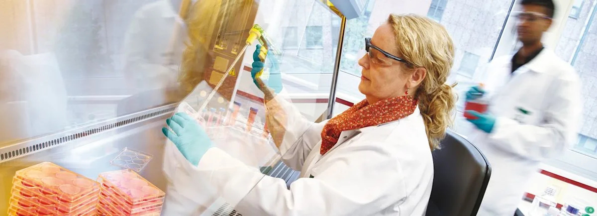 Is Bayer (XTRA:BAYN) Below Fair Value After Health Canada Expanded LYNKUET Approval?