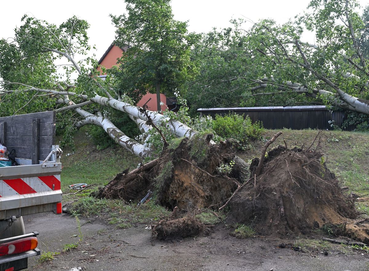 Storms and heavy rain cause damage and disruption in Germany