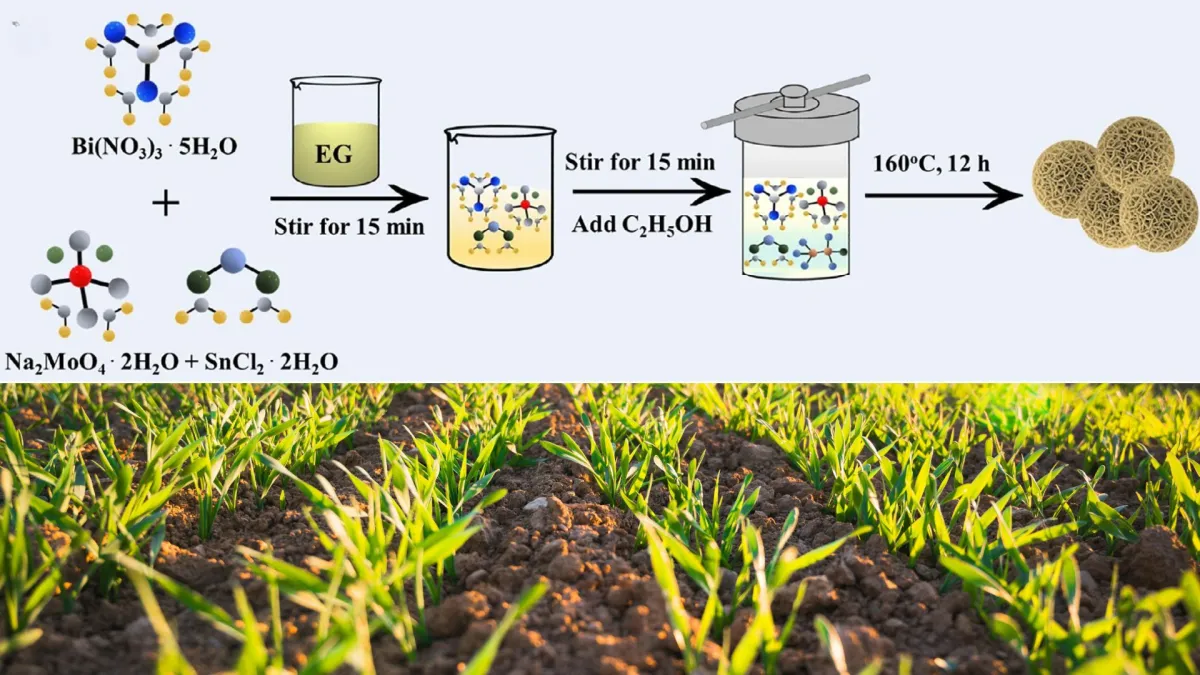 Beyond Haber-Bosch: New solar-powered technique for ammonia production