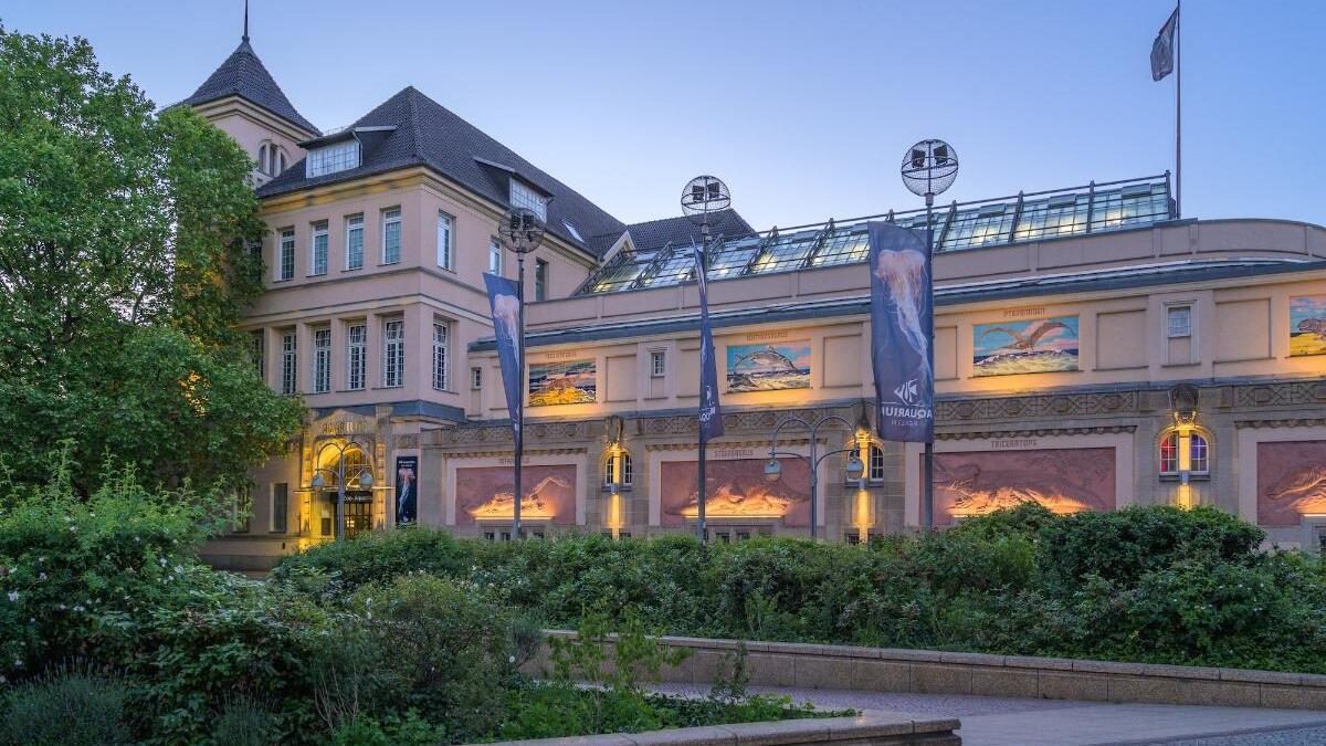 Aquarium Berlin reopens following €10.3 million transformation