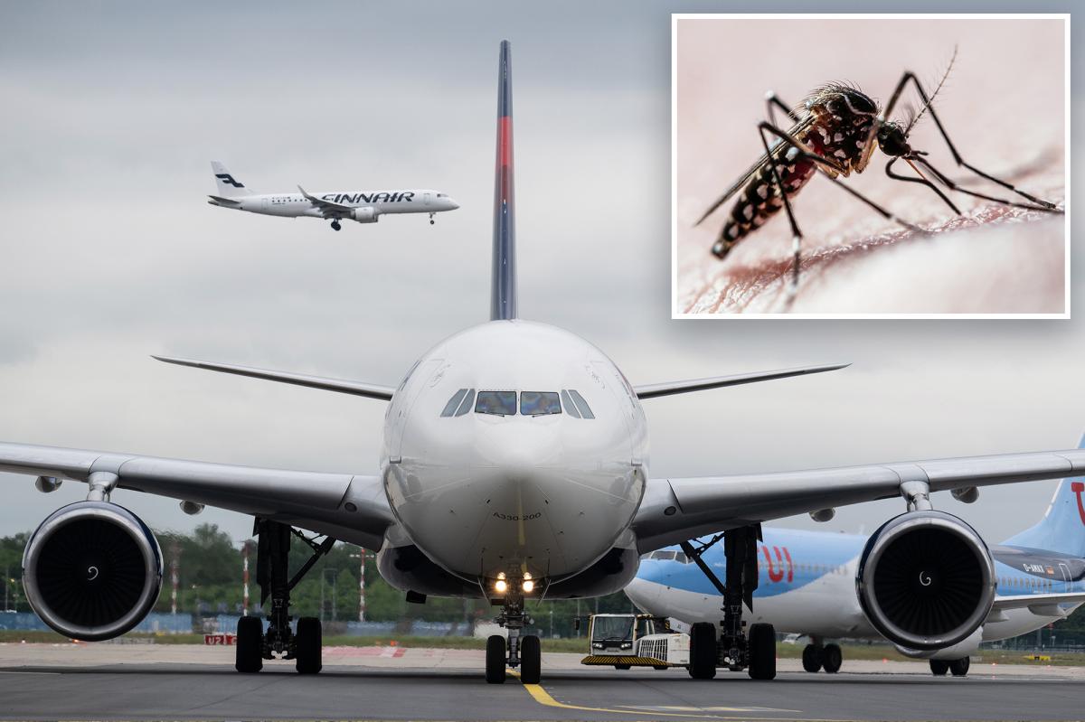 Two workers at Germany's busiest airport die of malaria after mosquito arrives on plane
