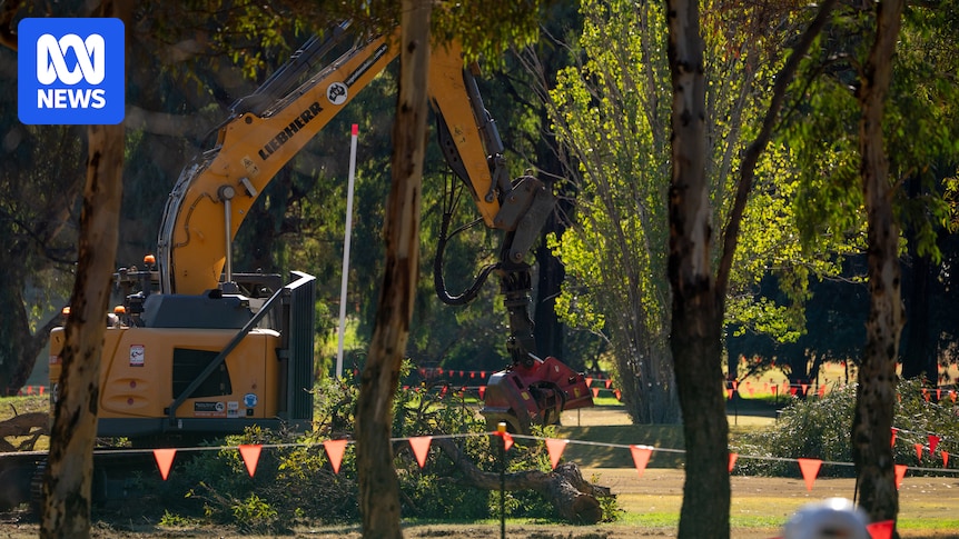 Trees razed as North Adelaide golf course redevelopment gets underway