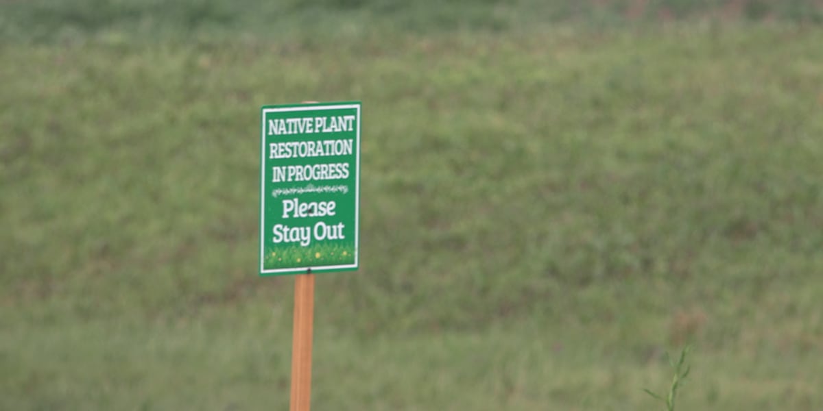 Wild Roots Nature Center secures funding to restore former Rockford golf course