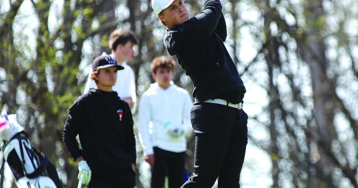 Boys golf: Rickheim takes home MVP award for Ponies | Free