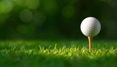 news-golf-ball-on-green-field
