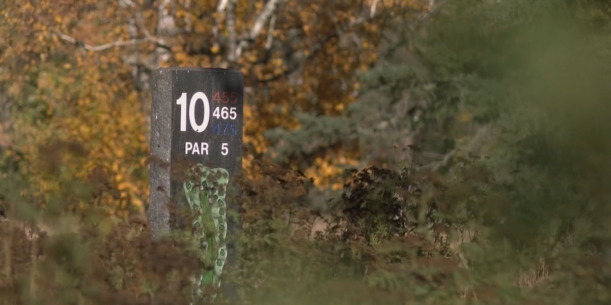 From golf course closure to court challenge: what’s next for Lester Park land