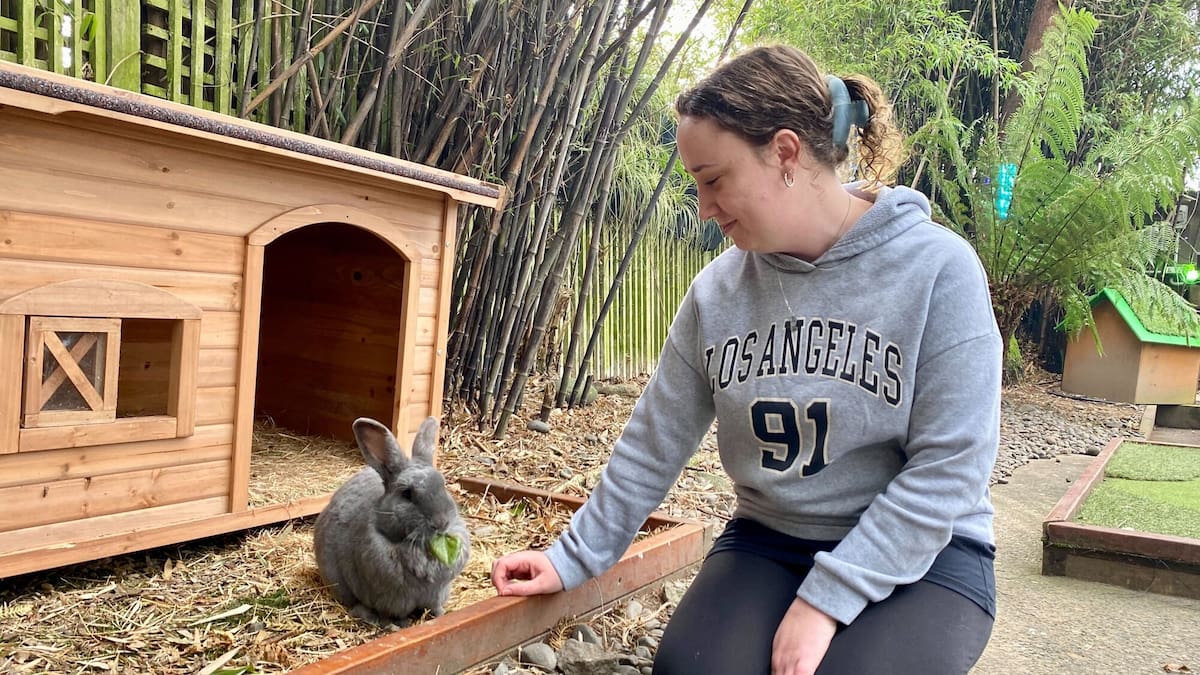 Rotorua Mini Golf with rabbits: How TikTok has increased visitor numbers