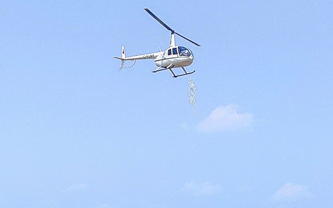 Only a few days left to purchase tickets for TMHF Golf Ball Drop