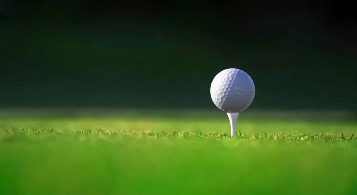 Berks County high school golf roundup for August 24
